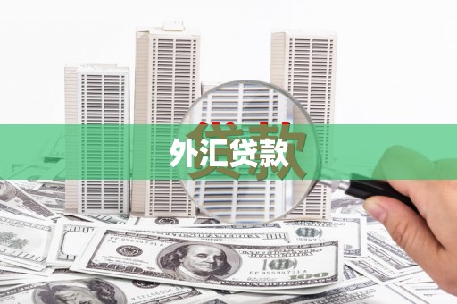 玉门外汇贷款