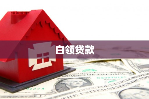高树白领贷款
