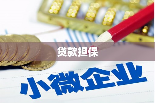 马尔康贷款担保
