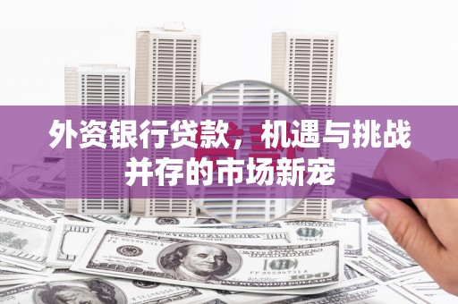 十堰外资银行贷款，机遇与挑战并存的市场新宠