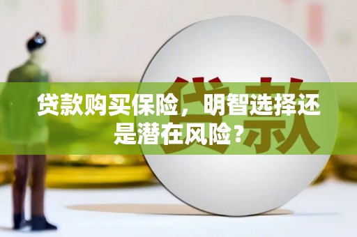 双清贷款购买保险，明智选择还是潜在风险？