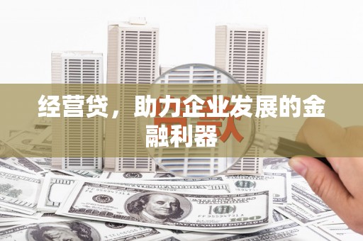 望谟经营贷，助力企业发展的金融利器