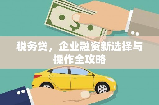 海伦税务贷，企业融资新选择与操作全攻略
