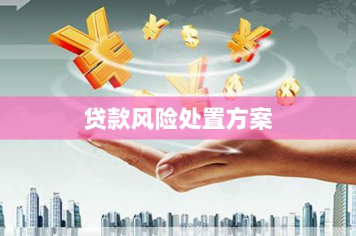 保亭贷款风险处置方案