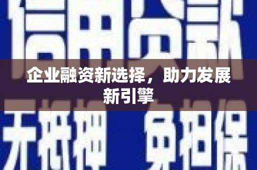内埔企业融资新选择，助力发展新引擎