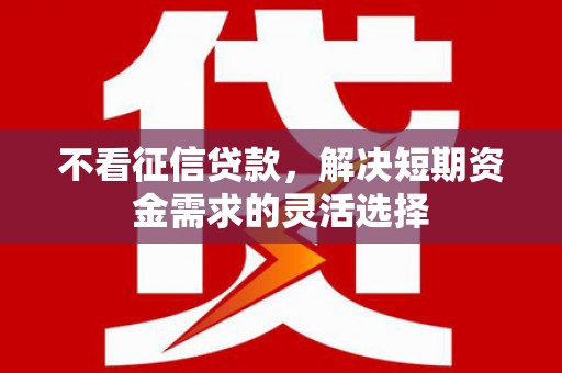 巨野不看征信贷款，解决短期资金需求的灵活选择