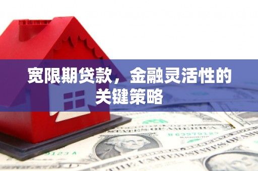 定安宽限期贷款，金融灵活性的关键策略