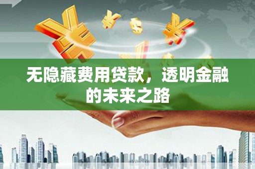 甘南无隐藏费用贷款，透明金融的未来之路