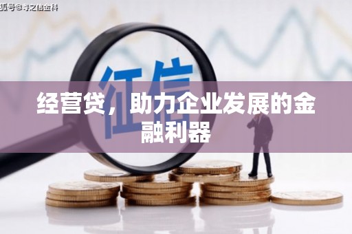 保亭经营贷，助力企业发展的金融利器