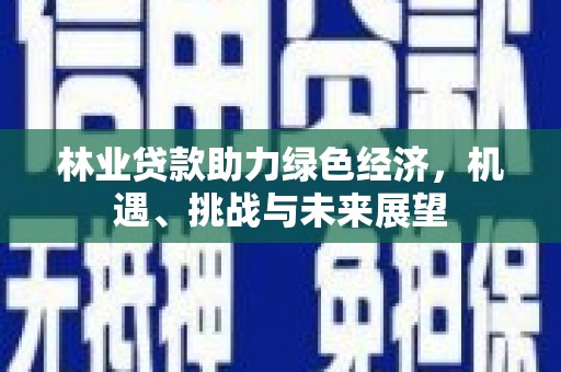 盐田林业贷款助力绿色经济，机遇、挑战与未来展望