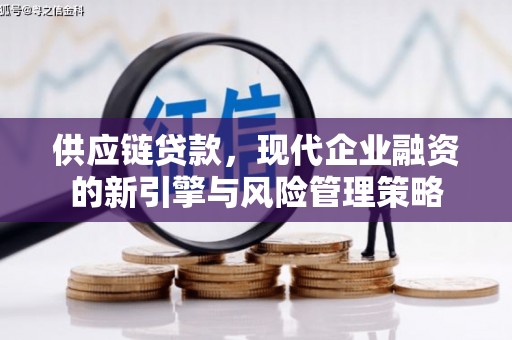 乐亭供应链贷款，现代企业融资的新引擎与风险管理策略
