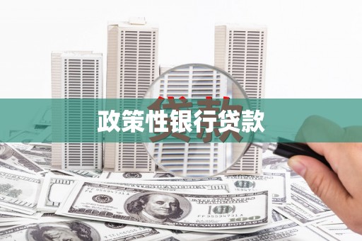 集集政策性银行贷款