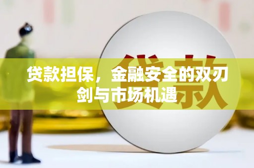 芦淞贷款担保，金融安全的双刃剑与市场机遇