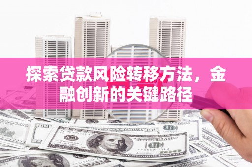 闻喜探索贷款风险转移方法，金融创新的关键路径