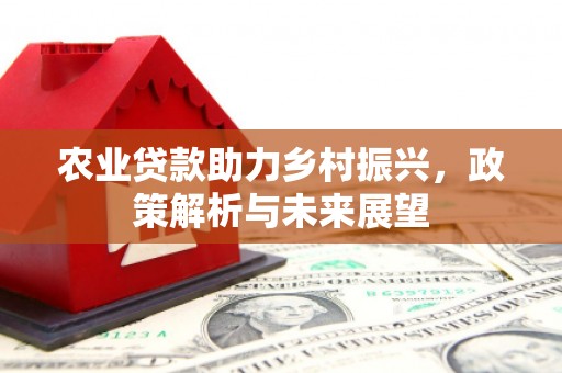 海州农业贷款助力乡村振兴，政策解析与未来展望