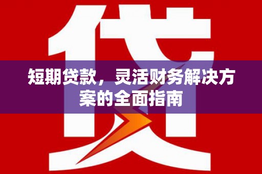 昭阳短期贷款，灵活财务解决方案的全面指南