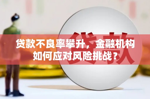 海南贷款不良率攀升，金融机构如何应对风险挑战？