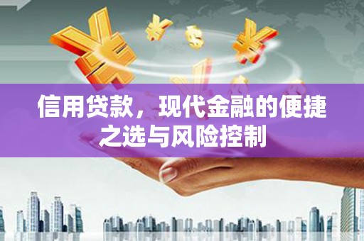 安陆信用贷款，现代金融的便捷之选与风险控制