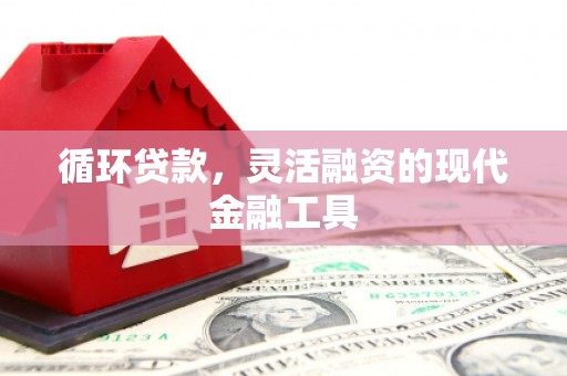 马山循环贷款，灵活融资的现代金融工具