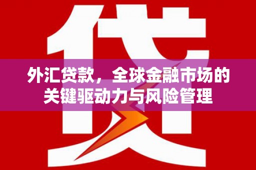 开化外汇贷款，全球金融市场的关键驱动力与风险管理