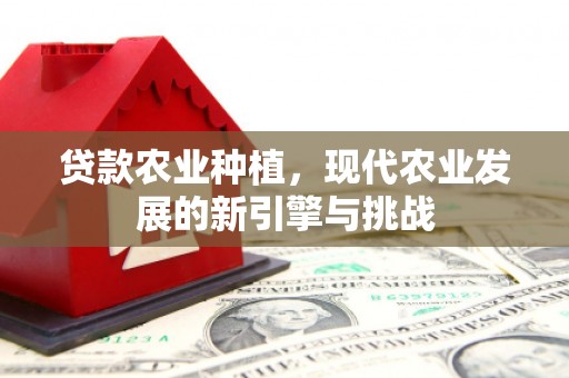 赫山贷款农业种植，现代农业发展的新引擎与挑战