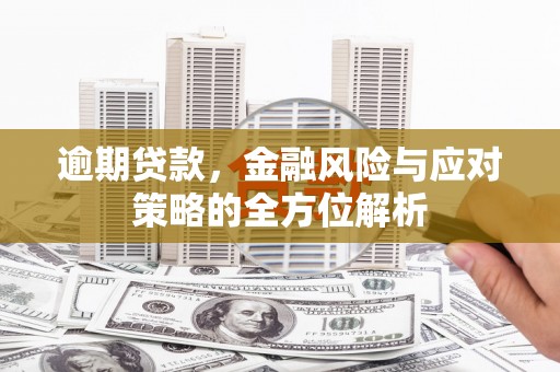 港闸逾期贷款，金融风险与应对策略的全方位解析