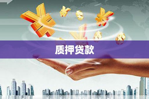 武鸣质押贷款