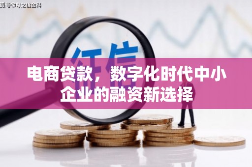 乐清电商贷款，数字化时代中小企业的融资新选择