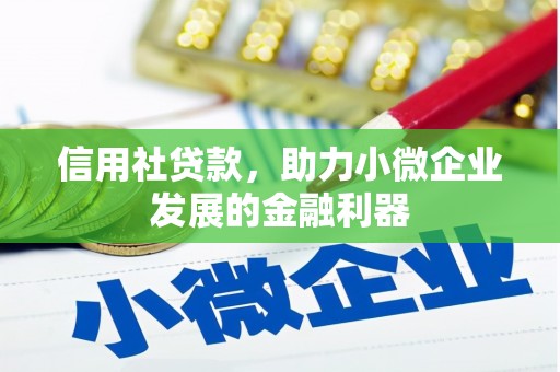 府谷信用社贷款，助力小微企业发展的金融利器