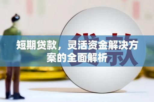 丽水短期贷款，灵活资金解决方案的全面解析