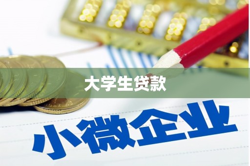 上城大学生贷款