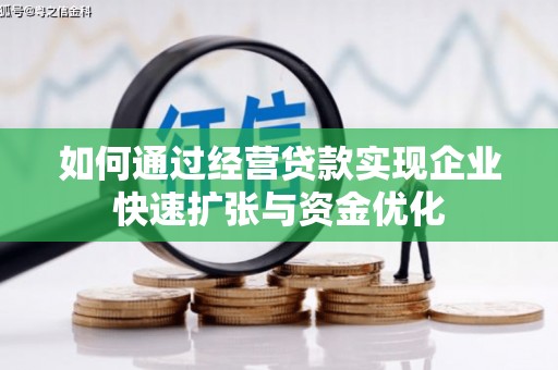 阜城如何通过经营贷款实现企业快速扩张与资金优化