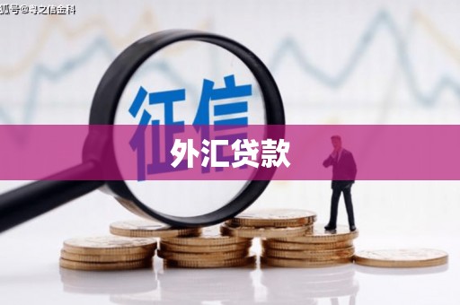 榆中外汇贷款
