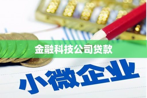 仙游金融科技公司贷款
