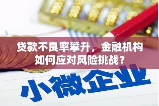 温宿贷款不良率攀升，金融机构如何应对风险挑战？