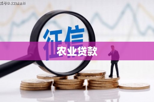 墨江农业贷款