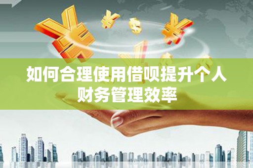 额敏如何合理使用借呗提升个人财务管理效率