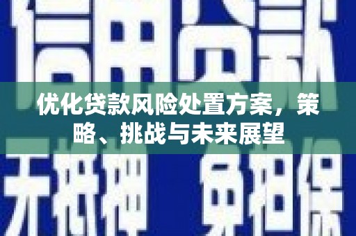高碑店优化贷款风险处置方案，策略、挑战与未来展望