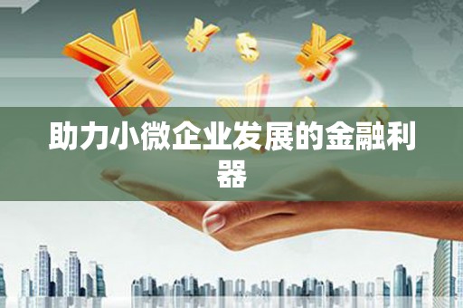 白水助力小微企业发展的金融利器