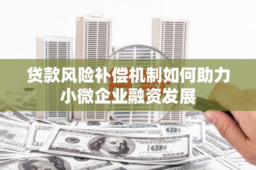 苍南贷款风险补偿机制如何助力小微企业融资发展