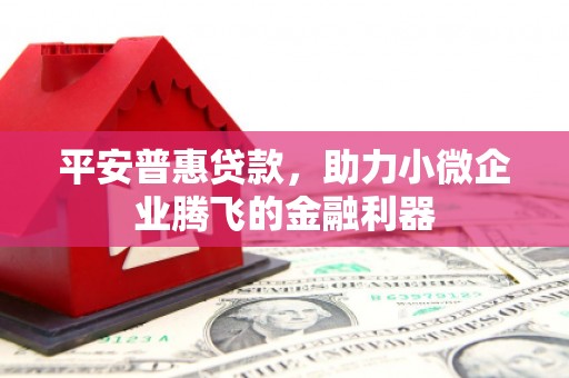 巩义平安普惠贷款，助力小微企业腾飞的金融利器