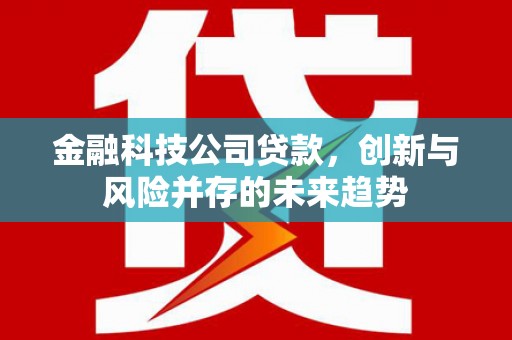 从化金融科技公司贷款，创新与风险并存的未来趋势