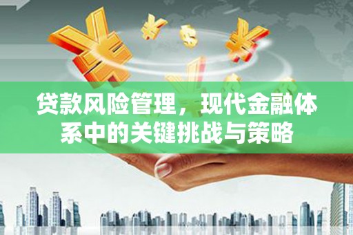 盖州贷款风险管理，现代金融体系中的关键挑战与策略