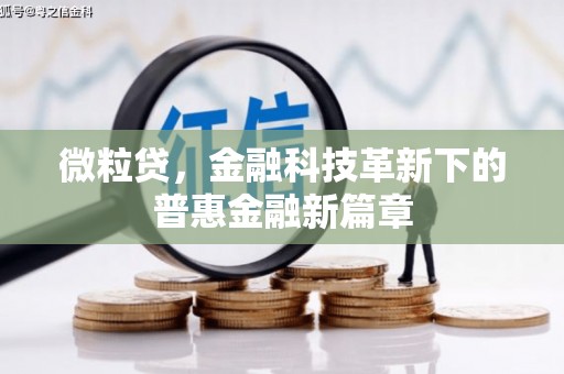 木垒微粒贷，金融科技革新下的普惠金融新篇章