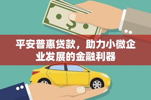 丰城平安普惠贷款，助力小微企业发展的金融利器