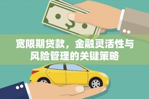 永定宽限期贷款，金融灵活性与风险管理的关键策略