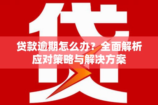 莱城贷款逾期怎么办？全面解析应对策略与解决方案