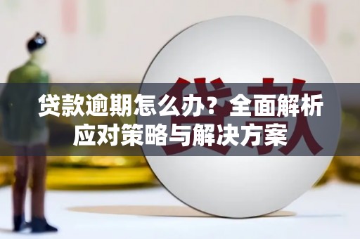 莎车贷款逾期怎么办？全面解析应对策略与解决方案