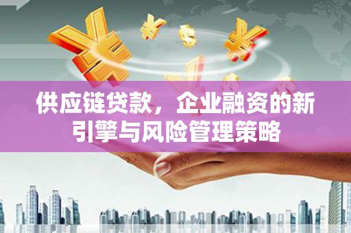沙洋供应链贷款，企业融资的新引擎与风险管理策略