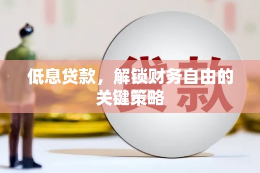 尼勒克低息贷款，解锁财务自由的关键策略